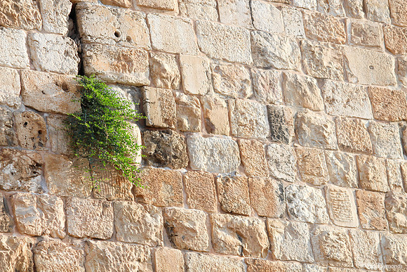 Cracks in Southern Wall Old City of Jerusalem