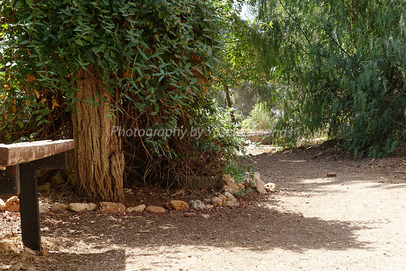 Link Path 14