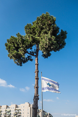 Israel Flag with Beit Hakerem in Background 190819-1