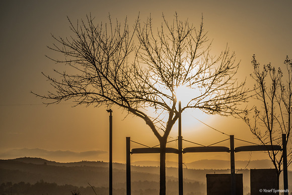 Silhouette From Hayarden 2501-1
