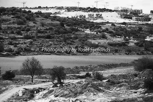 Mem 3 2013 Q1 Gimmel 1 Background DSC01904 B&W