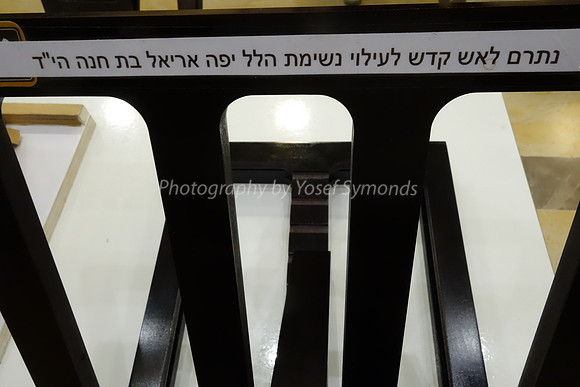 Donated Stende 2