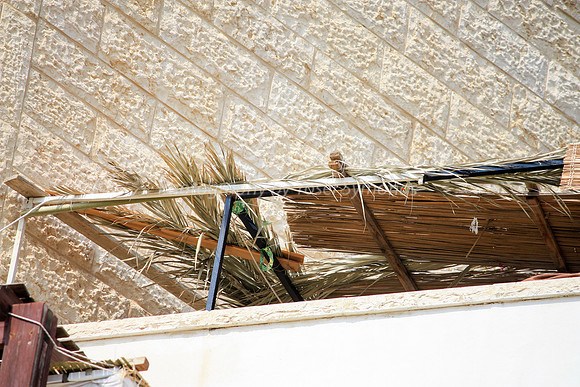 Unkempt Sukkah