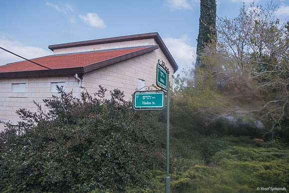 Village in Forest Neve Tzuf 190423-35