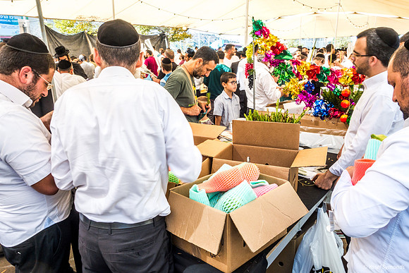 Examining Etrog 191013-4