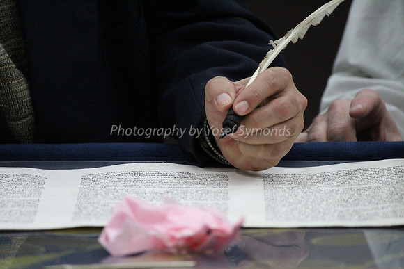 Completing the Holy Scroll 8