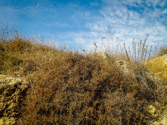 Edge of Empty Lot 2