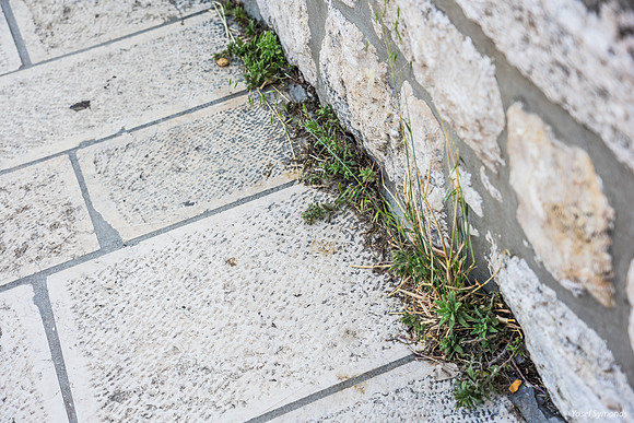 Cracks - Har Habayit 190610-2