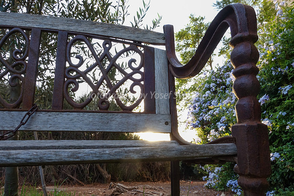 Park Bench 1608-2