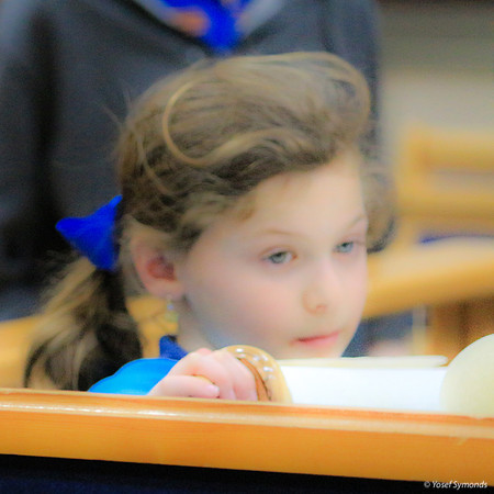 Hachnasat Sefer Yehoshua at Ohr Shalom