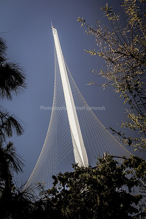 150201-StringBridge0659