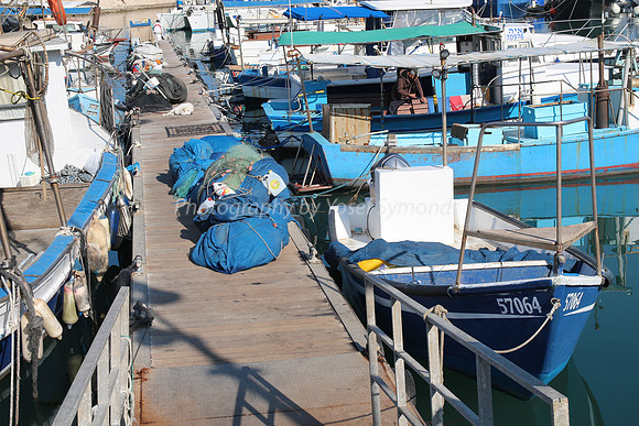 Jaffa Fishing Port