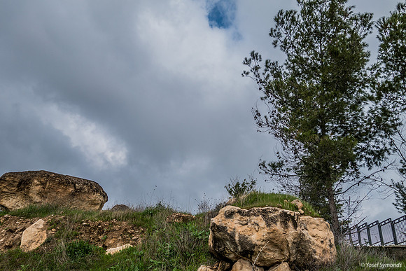 Rock Outcrop 200226-1
