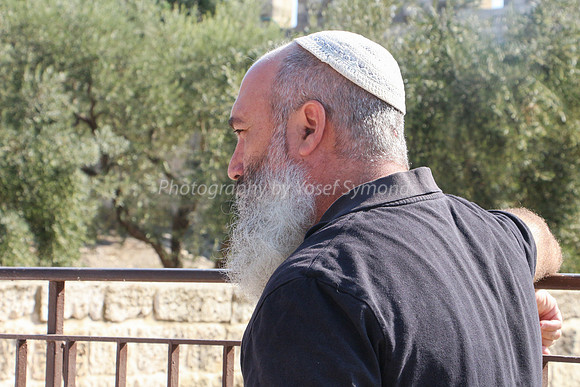 Contemplation 1