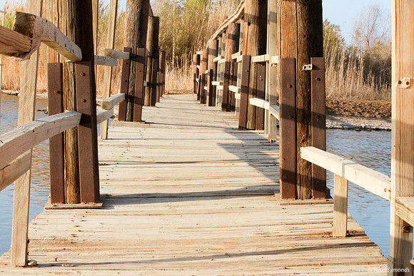 Bridge on Southern Lake 8