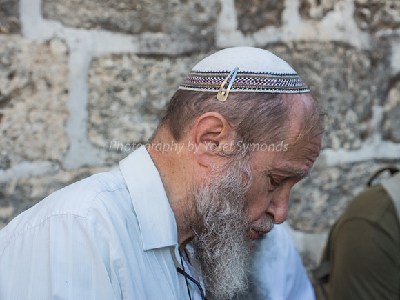 Delivering a Siyum?