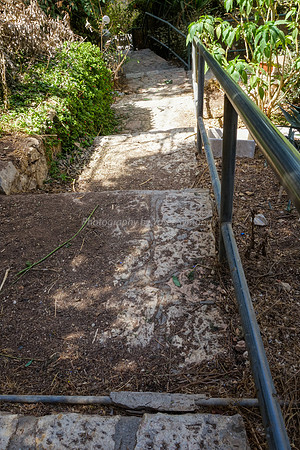 Backyard Path 4
