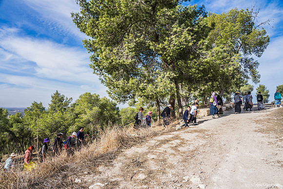 Climbing the Hill 191121-3