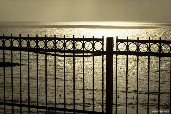 Seascape from Shaked Tayelet 190804-4