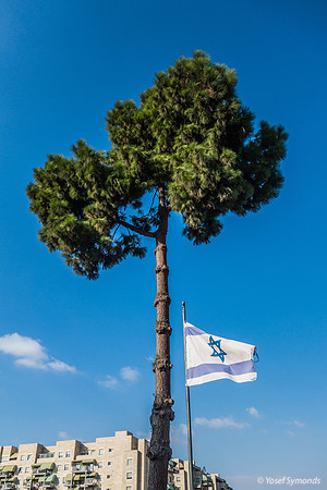 Israel Flag with Beit Hakerem in Background 190819-3