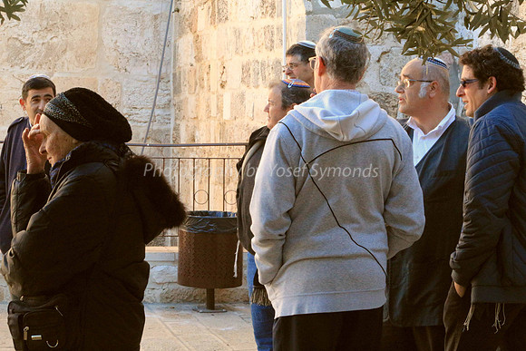 140209-HarHabayit-9880
