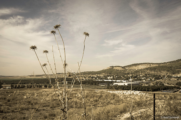 Looking South-West Kibbutz Tzora on Right 191121-3