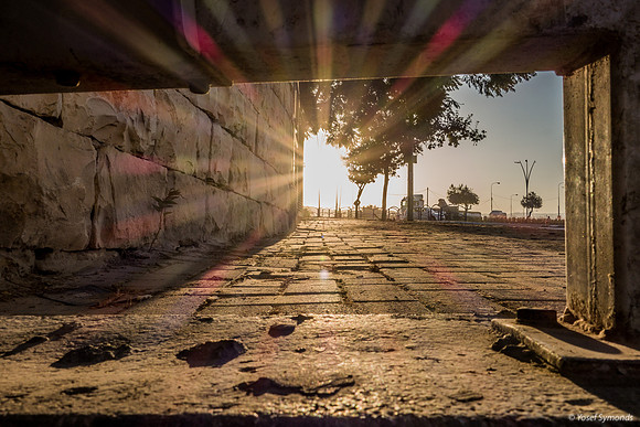 What the Cat Sees Under the Bus Stop 201011-1