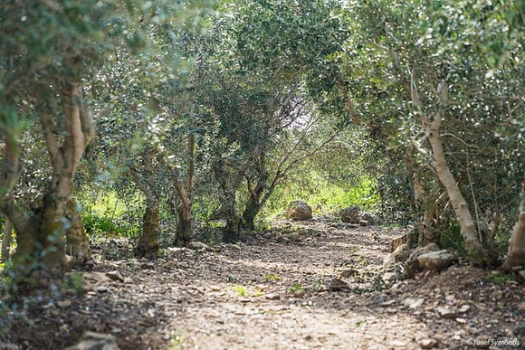 Neve Tzuf 190423-22