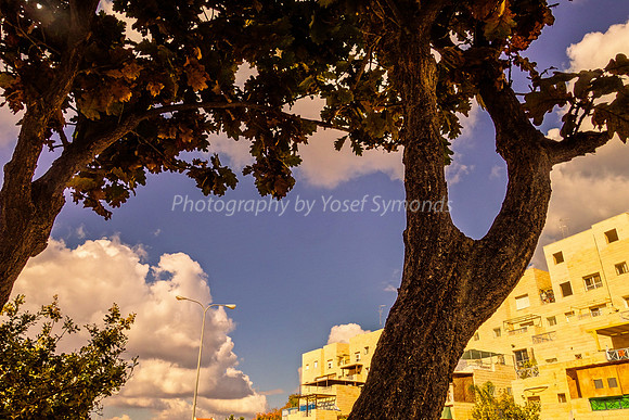 Bird's Eye View of Hayarkon Street RBSA 19