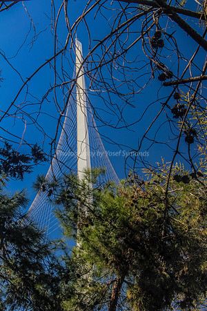 150201-StringBridge0664