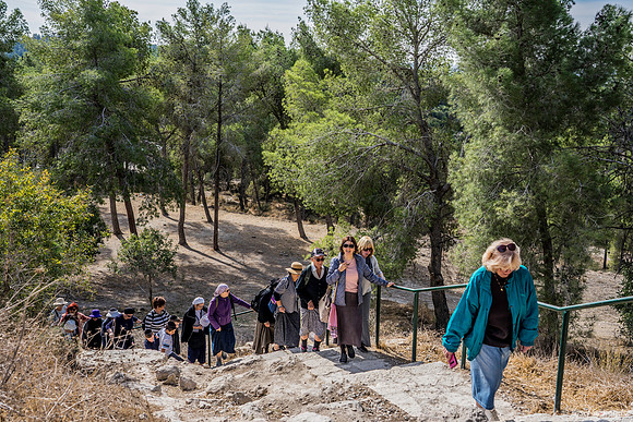 Climbing the Hill 191121-2
