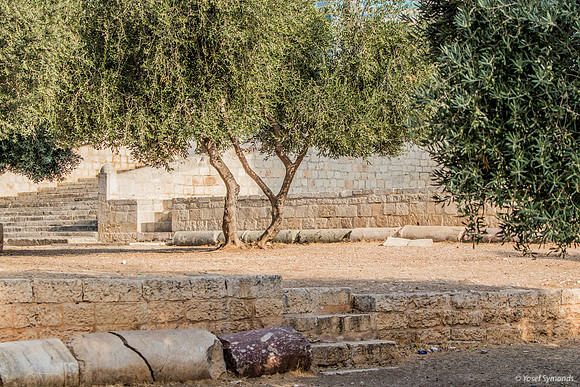 Steps Marking Point of Heil 220804-2
