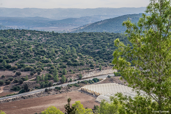 Elah Valley and Elah Tree in Foreground 191121-3