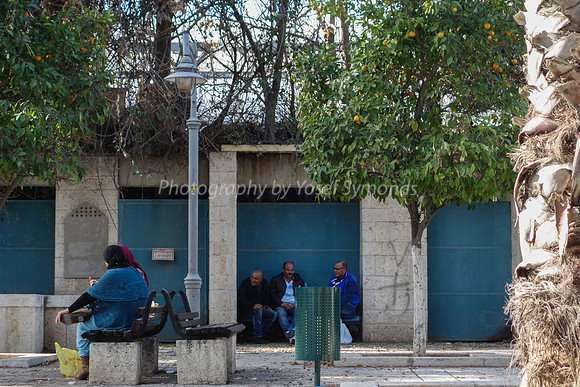 Ramle Park 2