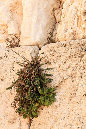 Through Cracks in the Wall