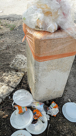 Rubbish RBSA 1608-3