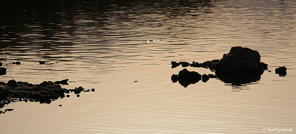 Southern Lake 16