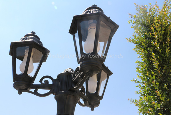 Lamp Posts in Sunlight 1