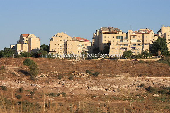Mishkafayim 2012 Q3 6884
