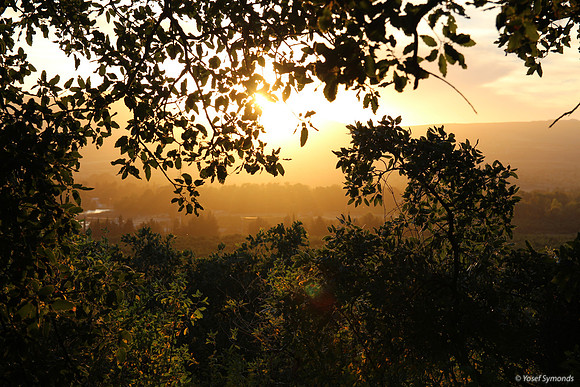 Sunset in the Hula Valley 130528-5
