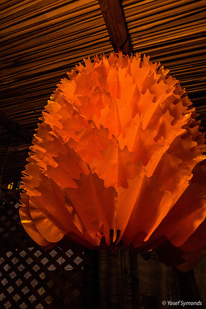 Red Sukkah Decoration 191017-1