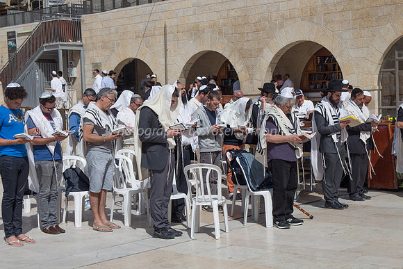 Men Praying at Western Wall 140616-6