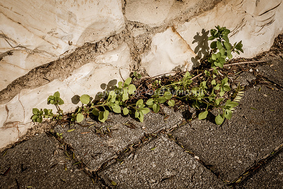 Cracks 181226-2