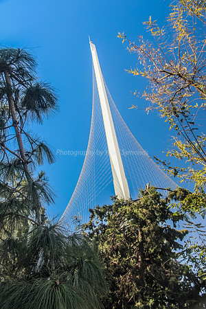 150201-StringBridge0660