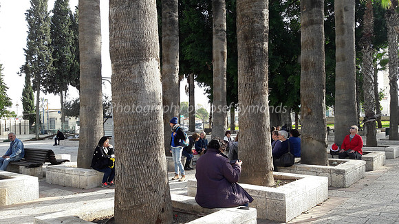 Ramle Square and Park 1