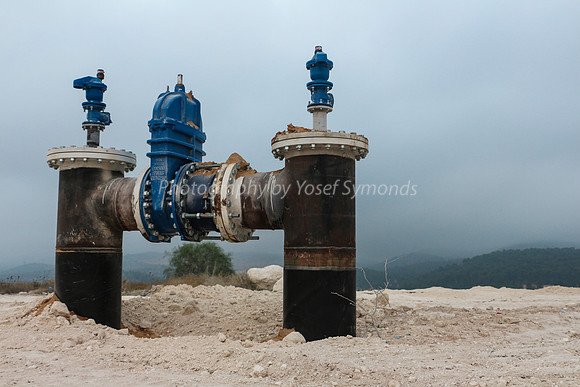 Manifold 16088-8