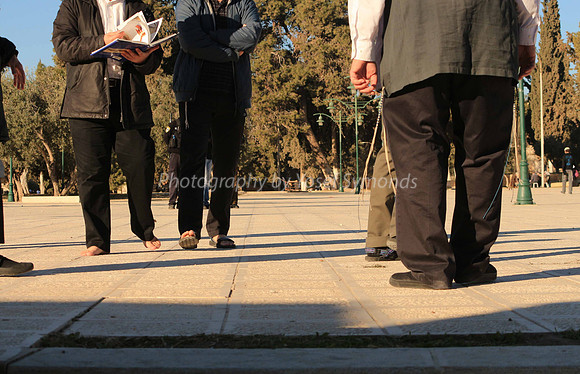 140209-HarHabayit-9829