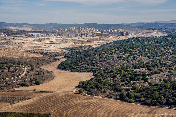 Looking East Up Elah Valley 191121-1