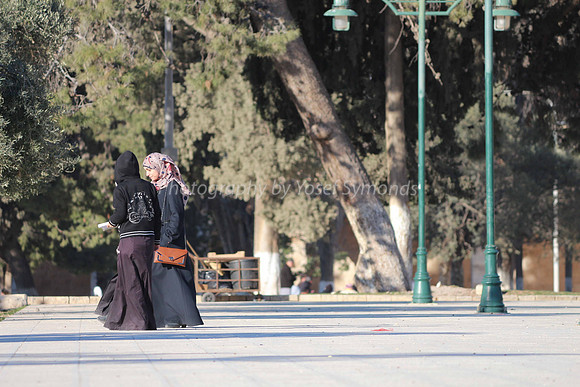 140209-HarHabayit-9844