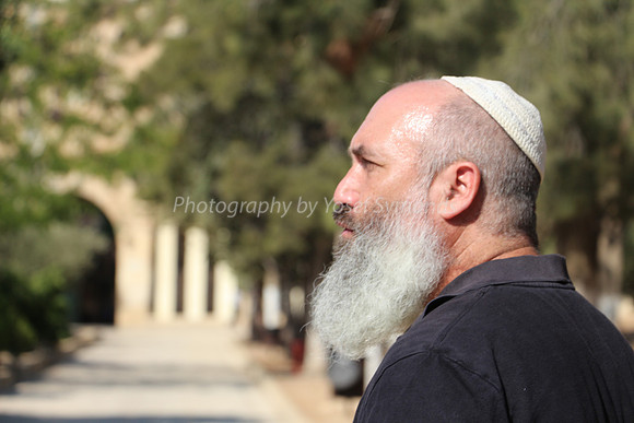 Contemplation 2